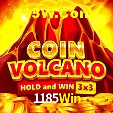 Bonus Features 1185Win