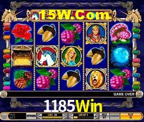 Segurança 2FA 1185Win